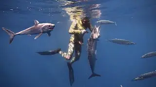 Spearfishing GIANT FISH in Canary Islands - Pesca Submarina en Tenerife