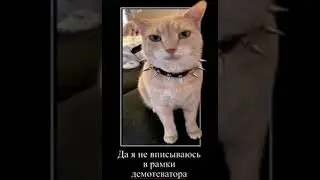 Я панк лорд