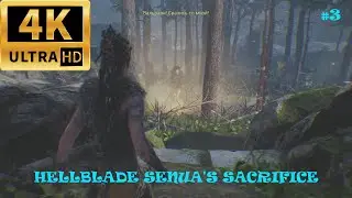 Ох уж эти миражи❄️ Hellblade Senua's Sacrifice ❄️Ep#3❄️Games No Comments [2160p, ultra]