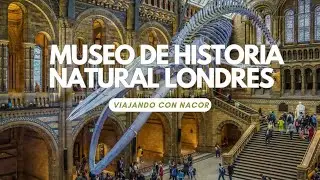 MUSEO DE HISTORIA NATURAL DE LONDRES - 4K