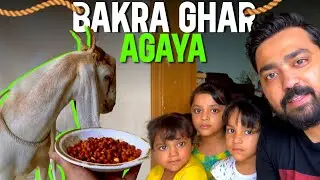 Bakra Ghar Agaya | Bakraeid 2022 | Vlog