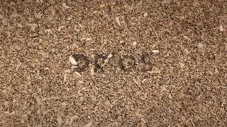 Dave McKendry - Dr*gs (Lyric Video)