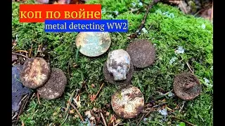 SKULL and PURSE of coins. War cop. Metal detecting WW2.
