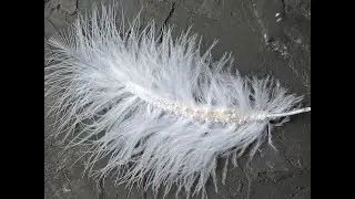 Feather brooch. БРОШЬ-ПЕРО, вышитое кристаллами#Брошьперо