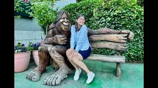 Fun Among Redwoods 2024 7
