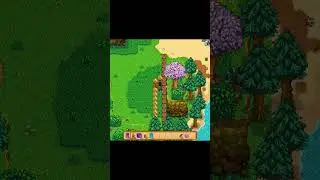 Новое медовое в 1.6.6 Stardew Valley  #stardew_valley #sw