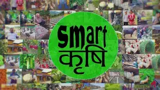 Smart Krishi - Logo Reveal Animation Video by NepaliFx