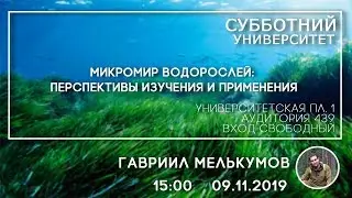 СУ #61 Микромир водорослей: перспективы изучения и применения