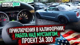 Как мы строили Форд Мустанг в США / Приключения в Америке