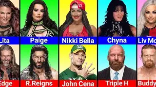 WWE Break Up Couples