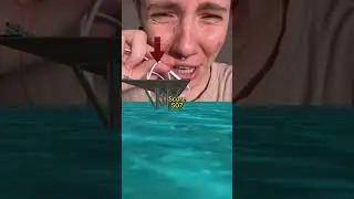 Какой твой любимый урок в школе???