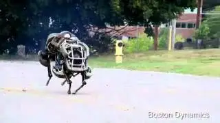 Introducing WildCatУЖАС будущего)