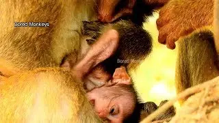 Poor Baby Barbi cry silent why mom hold head upside down look so pity,Glad Barbi become more active