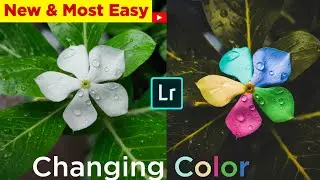 Flower editing in lightroom - Lightroom editing tutorial | Changing Color of flower in easy way | Bt