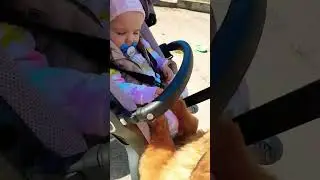 Собачья 💘
