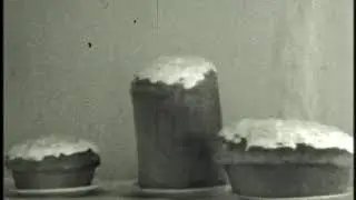 В день Пасхи 1968 года