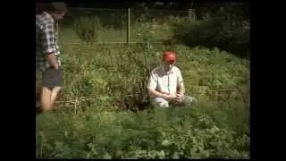 Морковь для зрения