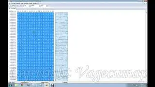 extracting bin file from ols file using hex editor wm