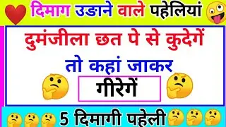 Paheliyan in Hindi || GK Questions ||General Knowledge || Intesting GK Quiz || Pheli Video || GKGS