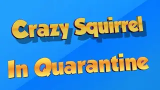 Crazy Squirrel's VR Journey Volume #4