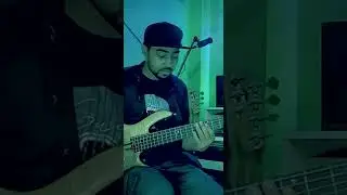 Amazing Bass solo #shorts #bass #solo #slapping #groove #tapping #davie504 #basstechnique #viral