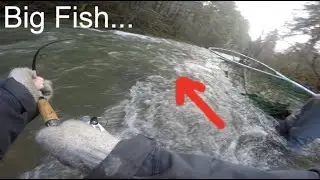 Steelhead RODEO after the Rain!!