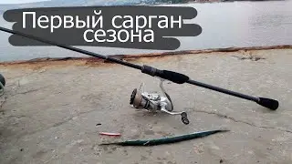 Первый Cарган в Cезоне