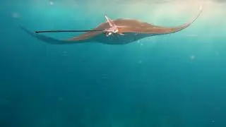 Задержка дыхания