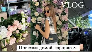 VLOG | Приехала домой сюрпризом | встреча с родными | первое занятие по вождению