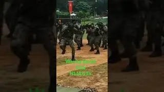 #tdm