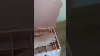 Caixa de Bijus Rosé Gold personalizada com papéis da coleção Carina Sartor.