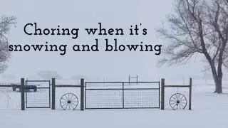 Choring when it’s snowing and blowing