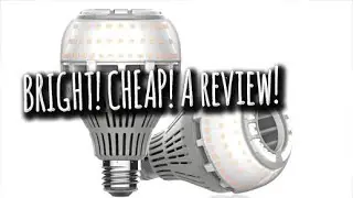 Why these Amazon LED bulbs are better than the ones you find in the store! | SGLED review!