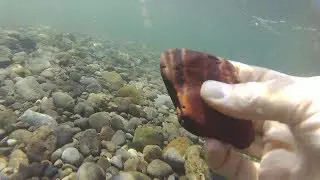 Flying over Gravel