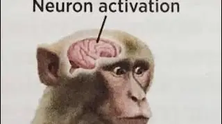 dank memes to reignite your passion for life V11 #ylyl