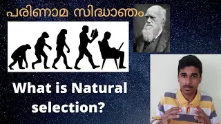 What Is Evolution?According to Charles Darwin What Is Natural Selection all Explained in Malayalam