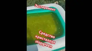 Эксперимент со средством стопгриин (stopgreen pro), через 12 часов будет второе видео