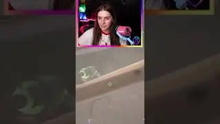 He Didnt Stand A Chance