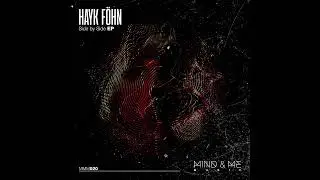 Hayk Föhn - The New Side (Original Mix)