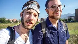 Fotografare INSETTI in CITTÀ con Zoosparkle • 