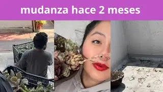 Día de mudanza con suculentas