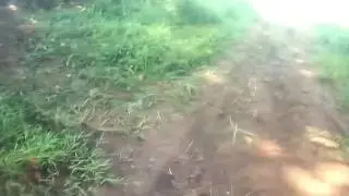 Viral dan Heboh ada orang telanjang di hutan Aceh