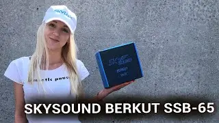 Динамики SKYSOUND BERKUT SSB-65 / Новинка от SKYLOR - 