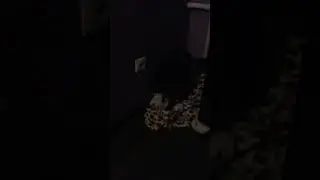 Шурик(пельмень)
