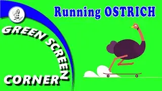 RUNNING OSTRICH Green Screen Video Chrome Key Animation Green Screen Corner Rabbit Joy Children Kids