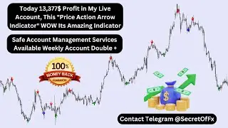 Today 13,377$ Profit in My Live Account, This 