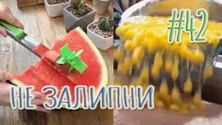 ПРИЯТНЫЕ ВИДЕО ► САМОЕ ЗАЛИПАТЕЛЬНОЕ СО ВСЕГО МИРА (ИЮНЬ 2021) #42