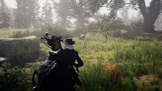 Кабан Вакпа #2 Легендарные животные - Red Dead Online
