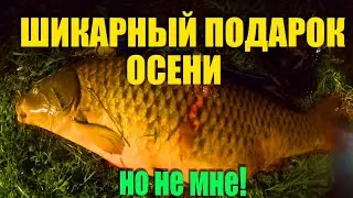 Ночная подводная охота, карп