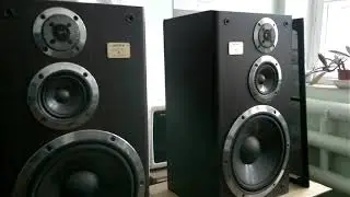 СОНИ Акустические системы SONY SS V9900AV